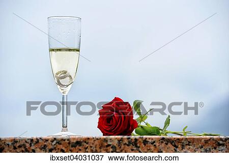 Stock Photo - Wedding rings and red rose in a champagne glass. Fotosearch