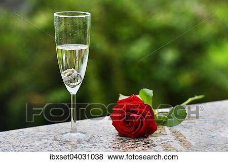 Stock Photo - Wedding rings and red rose in a champagne glass. Fotosearch