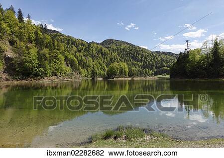 "Weitsee Lake, Chiemgau region, Chiemgau Alps, Upper Bavaria, Bavaria, Germany, Europe" View Large Photo Image Stock Image - "Weitsee Lake, Chiemgau region, Chiemgau Alps, Upper Bavaria, Bavaria, Germany, Europe". Fotosearch