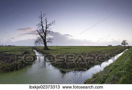 Stock Image - "Wesermarsch marsh, landscape near Bremerhaven, Germany, Lower Saxony, Europe". Fotosearch