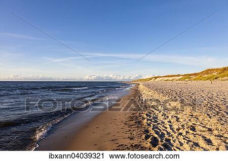 "Western beach, Darss, Western Pomerania Lagoon Area National Park, Mecklenburg-Western Pomerania, Germany, Europe" View Large Photo Image Stock Image - "Western beach, Darss, Western Pomerania Lagoon Area National Park, Mecklenburg-Western Pomerania, Germany, Europe". Fotosearch