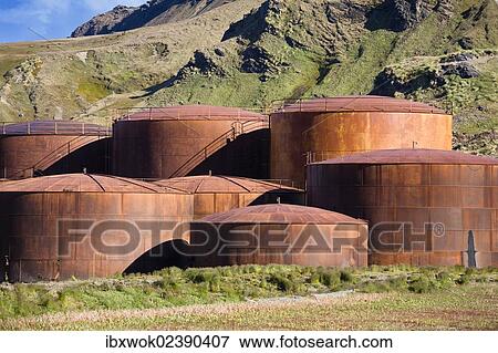 "Whale oil tanks at the former whaling station of Grytviken, King Edward Cove, South Georgia, South Sandwich Islands, British Overseas Territory, South Atlantic Ocean, Subantarctic, Antarctica" View Large Photo Image Stock Photo - "Whale oil tanks at the former whaling station of Grytviken, King Edward Cove, South Georgia, South Sandwich Islands, British Overseas Territory, South Atlantic Ocean, Subantarctic, Antarctica". Fotosearch