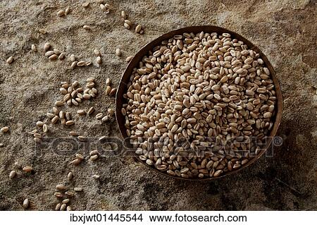 Wheat grains (Triticum) in a copper bowl on a stone surface View Large Photo Image Picture - Wheat grains (Triticum) in a copper bowl on a stone surface. Fotosearch