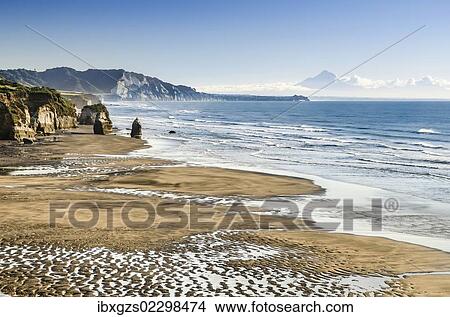 "White Cliffs Beach at low tide, Mt. Tarakaki volcano on the horizon, Ahititi, Taranaki, North Island, New Zealand, Oceania" View Large Photo Image Picture - "White Cliffs Beach at low tide, Mt. Tarakaki volcano on the horizon, Ahititi, Taranaki, North Island, New Zealand, Oceania". Fotosearch