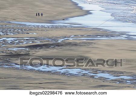 "White Cliffs Beach at low tide, three men walking in the distance, rocks in the surf, Ahititi, Taranaki, North Island, New Zealand, Oceania" View Large Photo Image Stock Photograph - "White Cliffs Beach at low tide, three men walking in the distance, rocks in the surf, Ahititi, Taranaki, North Island, New Zealand, Oceania". Fotosearch