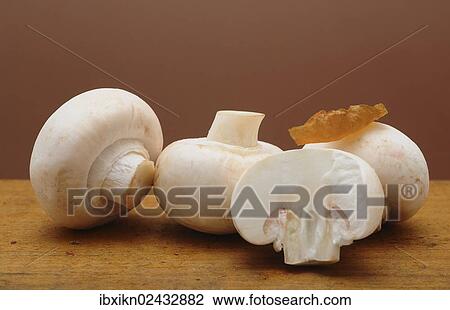 White mushrooms View Large Photo Image Stock Image - White mushrooms. Fotosearch