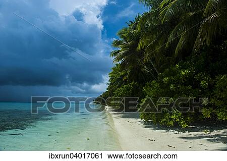 "White sand beach and turquoise water in the Ant Atoll, Pohnpei, Micronesia, Oceania" View Large Photo Image Stock Image - "White sand beach and turquoise water in the Ant Atoll, Pohnpei, Micronesia, Oceania". Fotosearch