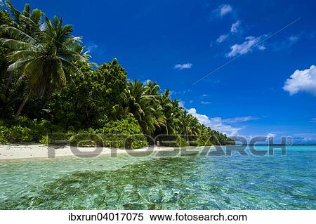 "White sand beach and turquoise water in the Ant Atoll, Pohnpei, Micronesia, Oceania" View Large Photo Image Stock Photography - "White sand beach and turquoise water in the Ant Atoll, Pohnpei, Micronesia, Oceania". Fotosearch