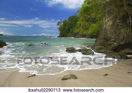 "White sandy beach, Manuel Antonio National Park, Costa Rica, Central America, North America" View Large Photo Image Stock Image - "White sandy beach, Manuel Antonio National Park, Costa Rica, Central America, North America". Fotosearch