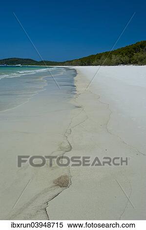 "Whitehaven beach in the Whitsunday Islands, Queensland, Australia, Oceania" View Large Photo Image Stock Photography - "Whitehaven beach in the Whitsunday Islands, Queensland, Australia, Oceania". Fotosearch