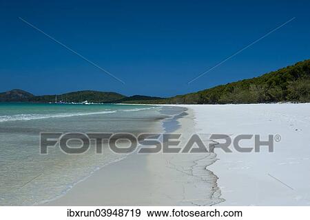 "Whitehaven beach, Whitsunday Islands, Queensland, Australia, Oceania" View Large Photo Image Stock Photo - "Whitehaven beach, Whitsunday Islands, Queensland, Australia, Oceania". Fotosearch