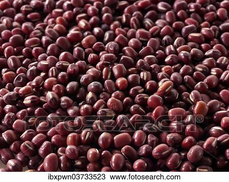 "Whole cow peas, Red Chori" View Large Photo Image Stock Image - "Whole cow peas, Red Chori". Fotosearch