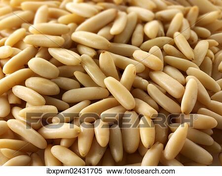 Whole fresh pine nuts View Large Photo Image Stock Photography - Whole fresh pine nuts. Fotosearch