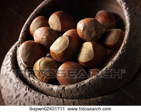 Stock Image - Whole hazelnuts. Fotosearch