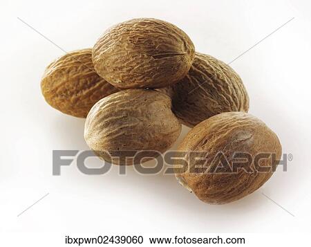 Whole nutmegs View Large Photo Image Stock Image - Whole nutmegs. Fotosearch