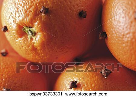 Whole oranges studded with cloves View Large Photo Image Stock Image - Whole oranges studded with cloves. Fotosearch
