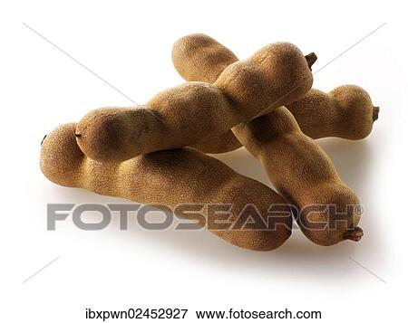 "Whole tamarind, Indian spice" View Large Photo Image Stock Photo - "Whole tamarind, Indian spice". Fotosearch