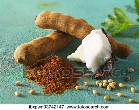 "Whole tamarind pods, coconut, ground chili, coriander seeds, Indian spices" View Large Photo Image Stock Photo - "Whole tamarind pods, coconut, ground chili, coriander seeds, Indian spices". Fotosearch