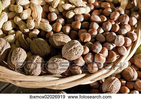 "Wicker basket with mixed nuts, Walnuts (Juglans regia), Peanuts (Arachis hypogaea) and Hazelnuts (Corylus avellana)" View Large Photo Image Stock Photo - "Wicker basket with mixed nuts, Walnuts (Juglans regia), Peanuts (Arachis hypogaea) and Hazelnuts (Corylus avellana)". Fotosearch