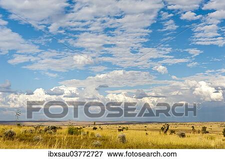 "Wide grass landscape, clouds, Isalo National Park, at Ranohira, Madagascar, Africa" View Large Photo Image Stock Photo - "Wide grass landscape, clouds, Isalo National Park, at Ranohira, Madagascar, Africa". Fotosearch