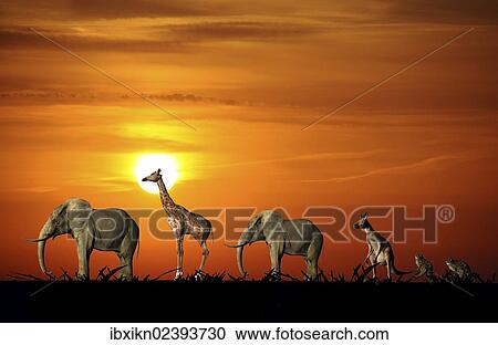Stock Image - "Wild animals, one behind the other, sunset, illustration". Fotosearch