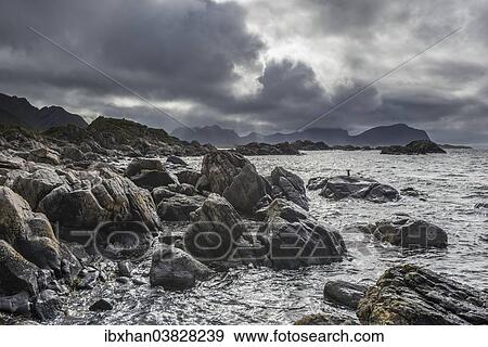 "Wild coast near Nyksund, Langoya, Vesteralen, Nordland, Norway, Europe" View Large Photo Image Stock Photo - "Wild coast near Nyksund, Langoya, Vesteralen, Nordland, Norway, Europe". Fotosearch