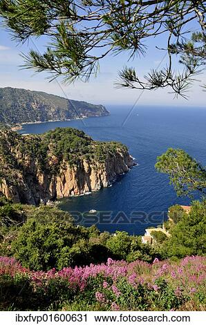 "Wild coastal scenery with views of the Cap de Begur, near Begur, Costa Brava, Spain, Iberian Peninsula, Europe" View Large Photo Image Stock Image - "Wild coastal scenery with views of the Cap de Begur, near Begur, Costa Brava, Spain, Iberian Peninsula, Europe". Fotosearch