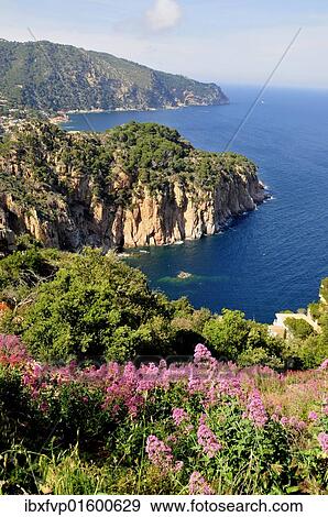 "Wild coastal scenery with views of the Cap de Begur, near Begur, Costa Brava, Spain, Iberian Peninsula, Europe" View Large Photo Image Stock Photo - "Wild coastal scenery with views of the Cap de Begur, near Begur, Costa Brava, Spain, Iberian Peninsula, Europe". Fotosearch