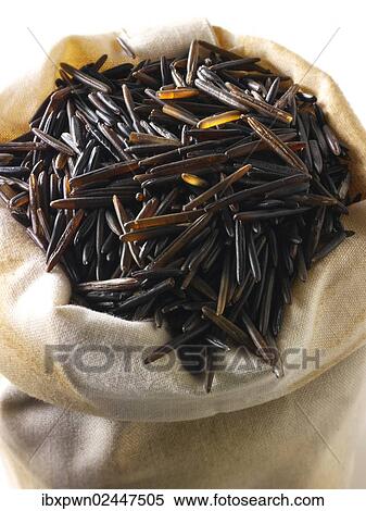 Wild Rice grains View Large Photo Image Stock Photography - Wild Rice grains. Fotosearch