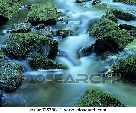 "Wild Vesser River, emerald green waters flowing between moss-covered stones, Biospharenreservat Vesser, Thuringia, Germany, Europe" View Large Photo Image Stock Image - "Wild Vesser River, emerald green waters flowing between moss-covered stones, Biospharenreservat Vesser, Thuringia, Germany, Europe". Fotosearch