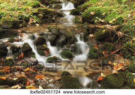 "Wildbach stream in autumn, Niklasdorf, Leoben, Styria, Austria, Europe" View Large Photo Image Picture - "Wildbach stream in autumn, Niklasdorf, Leoben, Styria, Austria, Europe". Fotosearch