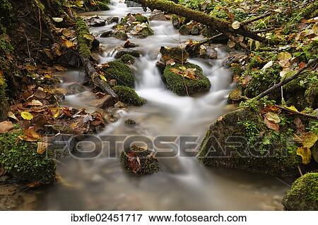 Stock Photo - "Wildbach stream in autumn, Niklasdorf, Leoben, Styria, Austria, Europe". Fotosearch