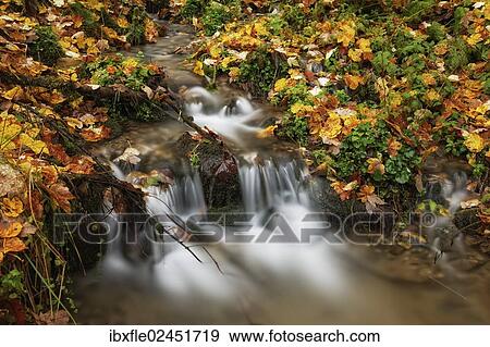"Wildbach stream in autumn, Niklasdorf, Leoben, Styria, Austria, Europe" View Large Photo Image Stock Photo - "Wildbach stream in autumn, Niklasdorf, Leoben, Styria, Austria, Europe". Fotosearch