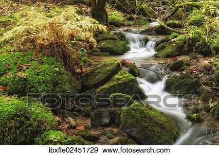 Stock Photo - "Wildbach stream in autumn, Niklasdorf, Leoben, Styria, Austria, Europe". Fotosearch