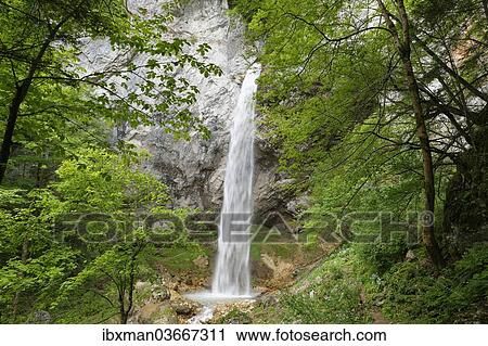 Stock Image - "Wildenstein waterfall at Obir, Obir-Massif, near Gallizien, Carinthia, Austria, Europe". Fotosearch