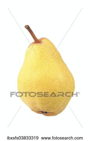 Williams pear View Large Photo Image Stock Photo - Williams pear. Fotosearch