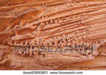 Stock Image - "Wind erosion on soft sandstone layers, Sahara desert, Tassili n'Ajjer, Algeria, Africa". Fotosearch