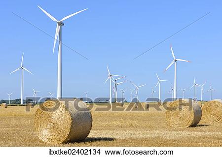 "Wind farm near Wesselburen, North Frisia, Schleswig-Holstein, northern Germany, Germany, Europe" View Large Photo Image Picture - "Wind farm near Wesselburen, North Frisia, Schleswig-Holstein, northern Germany, Germany, Europe". Fotosearch