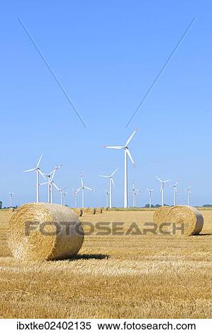 "Wind farm near Wesselburen, North Frisia, Schleswig-Holstein, northern Germany, Germany, Europe" View Large Photo Image Stock Photography - "Wind farm near Wesselburen, North Frisia, Schleswig-Holstein, northern Germany, Germany, Europe". Fotosearch