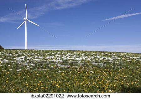 "Wind turbine on the plateau at Mt Kandel, Black Forest, Baden-Wuerttemberg, Germany, Europe" View Large Photo Image Stock Image - "Wind turbine on the plateau at Mt Kandel, Black Forest, Baden-Wuerttemberg, Germany, Europe". Fotosearch