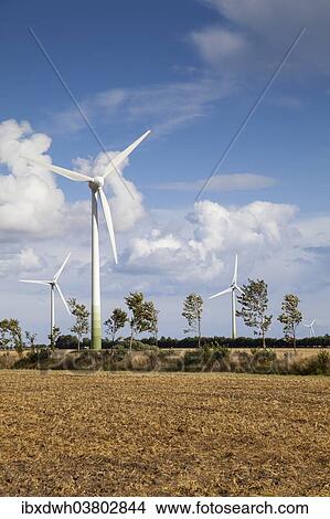"Wind turbines, Fehmarn island, Schleswig-Holstein, Germany, Europe" View Large Photo Image Picture - "Wind turbines, Fehmarn island, Schleswig-Holstein, Germany, Europe". Fotosearch