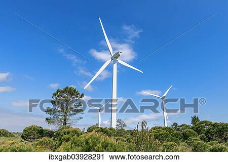 "Wind turbines, Western Algarve, Portugal, Europe" View Large Photo Image Stock Image - "Wind turbines, Western Algarve, Portugal, Europe". Fotosearch