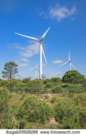 "Wind turbines, Western Algarve, Portugal, Europe" View Large Photo Image Stock Photo - "Wind turbines, Western Algarve, Portugal, Europe". Fotosearch