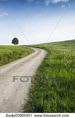 Stock Image - "Winding dirt road with a tree and a flower meadow, near Freiburg im Breisgau, Black Forest, Baden-Wurttemberg, Germany, Europe". Fotosearch