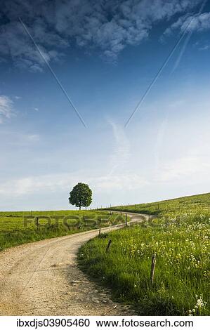"Winding dirt road with a tree and a flower meadow, near Freiburg im Breisgau, Black Forest, Baden-Wurttemberg, Germany, Europe" View Large Photo Image Stock Image - "Winding dirt road with a tree and a flower meadow, near Freiburg im Breisgau, Black Forest, Baden-Wurttemberg, Germany, Europe". Fotosearch