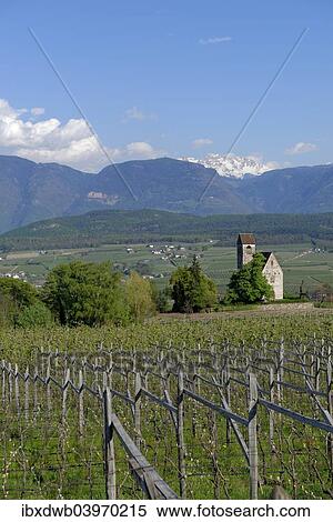 "Wine growing at the castle church of St. Sebastian, Schloss Englar in Appiano on the Wine Route, Uberetsch, South Tyrol, Italy, Europe" View Large Photo Image Stock Photography - "Wine growing at the castle church of St. Sebastian, Schloss Englar in Appiano on the Wine Route, Uberetsch, South Tyrol, Italy, Europe". Fotosearch
