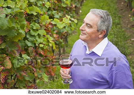 "Winemaker or vintner holding a glass of wine in his vineyard, Rhineland-Palatinate, Germany, Europe" View Large Photo Image Picture - "Winemaker or vintner holding a glass of wine in his vineyard, Rhineland-Palatinate, Germany, Europe". Fotosearch