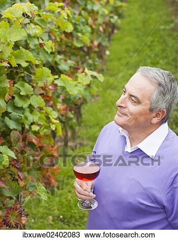 Stock Image - "Winemaker or vintner holding a glass of wine in his vineyard, Rhineland-Palatinate, Germany, Europe". Fotosearch