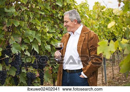"Winemaker or vintner standing with a glass of red wine in his vineyard, Rhineland-Palatinate, Germany, Europe" View Large Photo Image Stock Image - "Winemaker or vintner standing with a glass of red wine in his vineyard, Rhineland-Palatinate, Germany, Europe". Fotosearch