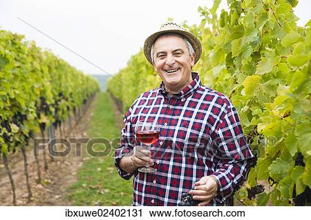 "Winemaker or vintner standing with a glass of red wine in his vineyard, Rhineland-Palatinate, Germany, Europe" View Large Photo Image Stock Image - "Winemaker or vintner standing with a glass of red wine in his vineyard, Rhineland-Palatinate, Germany, Europe". Fotosearch
